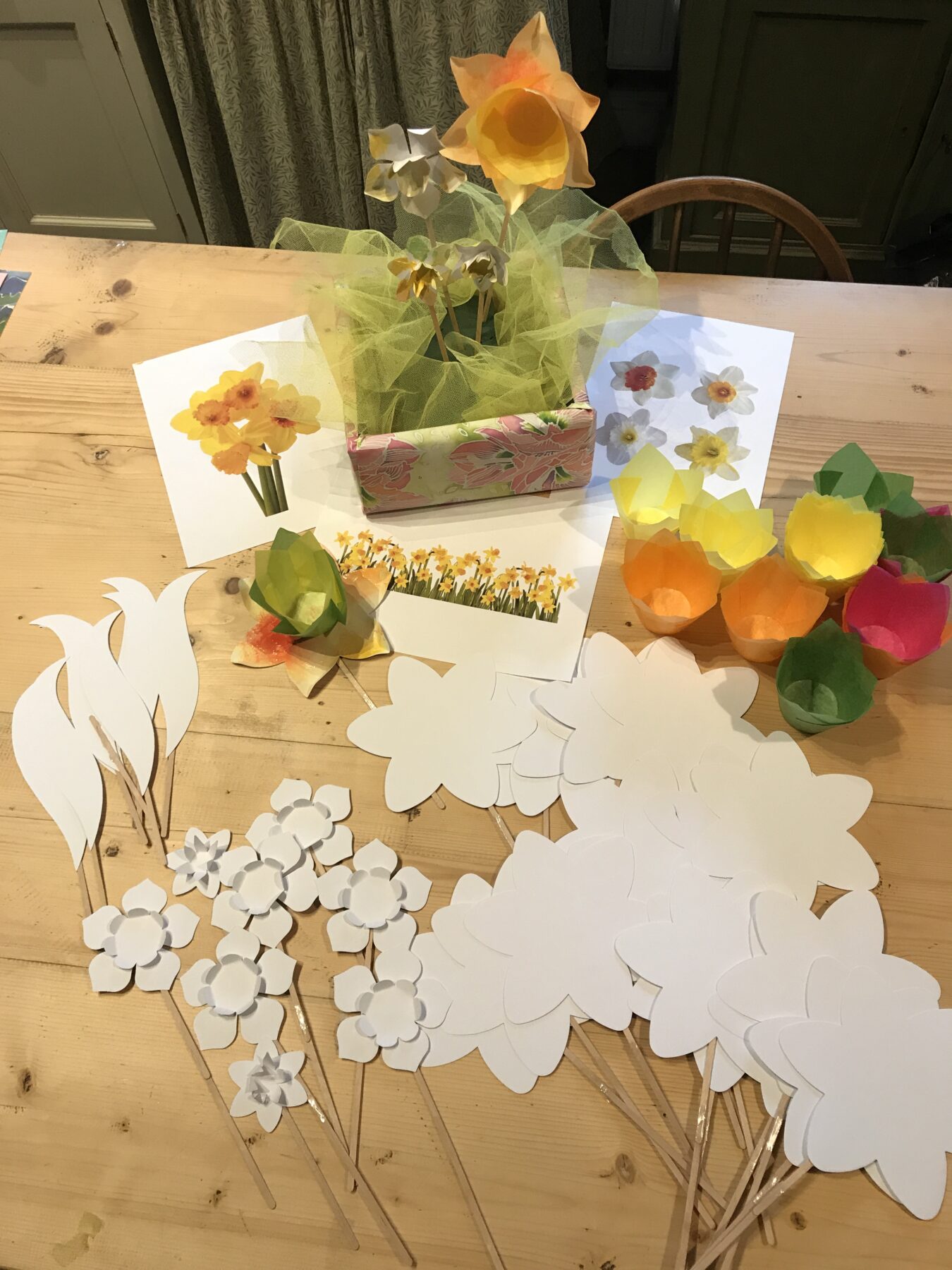 Easter Daffodils - Image 2